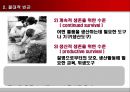 빈곤과 공적부조  7페이지