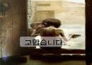 빈곤과 공적부조  33페이지