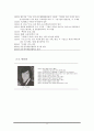 낯설게 하기 [적용과 실제 작품 분석]  8페이지