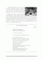 낯설게 하기 [적용과 실제 작품 분석]  16페이지