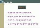신성장동력산업 13페이지