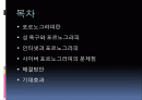 사이버 포르노그라피 2페이지