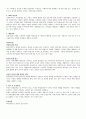 개별아동복지실천 2페이지