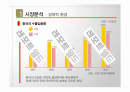중국 자전거 해외시장조사 8페이지