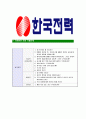 [한국전력공사-최신공채합격자기소개서]한국전력자소서,한국전력공사자기소개서,전력합격자기소개서,전력합격자소서,전력자소서,이력서,입사지원서,입사원서,샘플,예문,면접기출문제 5페이지