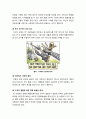 [망중립성]망 중립성의 개념 이해 및 논란의 촉발배경, 주요 쟁점, 찬반양론 및 해결과제 서술 - 망 중립성 논의의 모든 것 9페이지