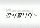 YG엔터테인먼트 성공요인과 마케팅전략분석 - 환경분석, STP분석, SWOT분석, 마케팅믹스 4P 29페이지