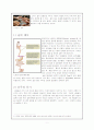 일단+최종 4페이지
