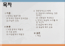 장애인 복지론_장애인 연금 2페이지