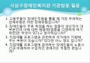 장애인 직업재활의 허와 실 30페이지