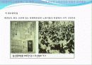 한국현대사1ppt 13페이지