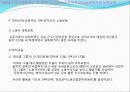 한국현대사1ppt 25페이지