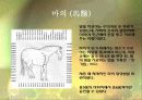 문화컨텐츠로 구성해보는 고려의 하급 관리 9페이지