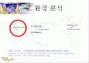 마케팅 성공사례 - 롤리타렘피카(Lolita Lempicka) 5페이지