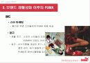 푸마(퓨마) 브랜드 재활성화 (Puma Revitalizing Brand) 16페이지
