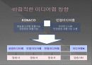 미디어법 개정에 따른 광고 산업의 변화 14페이지