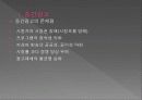 미디어법 개정에 따른 광고 산업의 변화 26페이지