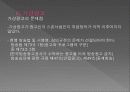 미디어법 개정에 따른 광고 산업의 변화 30페이지