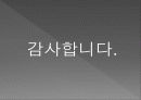 미디어법 개정에 따른 광고 산업의 변화 31페이지