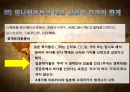 임나일본부설을 둘러싼 한․일간의 입장 24페이지