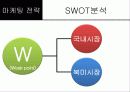 한국 및 북미시장에서 제네시스의 포지셔닝과 상표확장 전략 12페이지