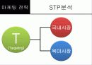 한국 및 북미시장에서 제네시스의 포지셔닝과 상표확장 전략 24페이지