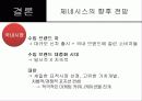 한국 및 북미시장에서 제네시스의 포지셔닝과 상표확장 전략 40페이지