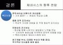 한국 및 북미시장에서 제네시스의 포지셔닝과 상표확장 전략 41페이지