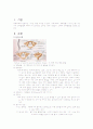 성인간호학 케이스 스터디(Case Study) - 경추골절 2페이지