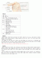 케이스 스터디(Case Study) -  유방암(Breast Cancer) 3페이지