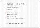네덜란드와 싱가포르의 주거제도  17페이지