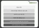 사회적 프로그램의 기획 9페이지