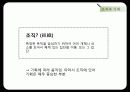 사회적 프로그램의 기획 14페이지