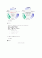 여행사별 인사채용 및 보상제도 11페이지