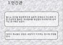 게슈탈트 치료  3페이지