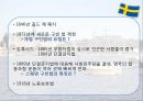스웨덴의 사회복지 5페이지