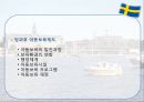 스웨덴의 사회복지 19페이지