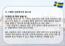 스웨덴의 사회복지 28페이지