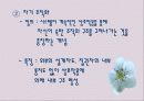 새로운 패러다임 속의 21세기 경영 5페이지