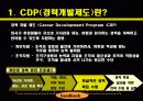 CDP사례발표ppt 3페이지