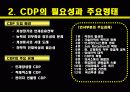 CDP사례발표ppt 4페이지