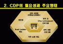 CDP사례발표ppt 5페이지