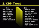 CDP사례발표ppt 6페이지