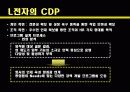 CDP사례발표ppt 8페이지