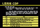 CDP사례발표ppt 9페이지