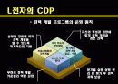 CDP사례발표ppt 11페이지