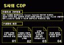 CDP사례발표ppt 13페이지