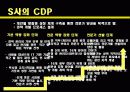 CDP사례발표ppt 14페이지