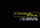 CDP사례발표ppt 16페이지