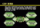 CDP사례발표ppt 17페이지